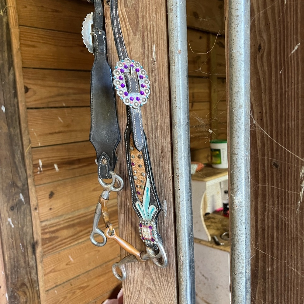 Western Leather Horse Bridle with Purple Gem Accents